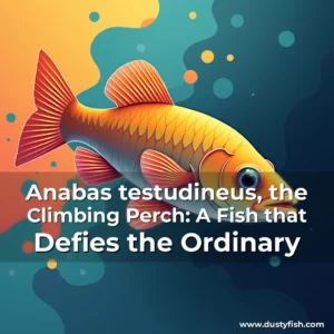 Read more about the article Anabas testudineus, the Climbing Perch: A Fish that Defies the Ordinary